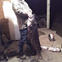 Profile Picture of Joe Marlow (@joe-marlow-19) on Quora