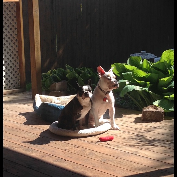 Laraine Fleming - Poshmark Profile Picture of Laraine Fleming (@vidawrites23) on Poshmark