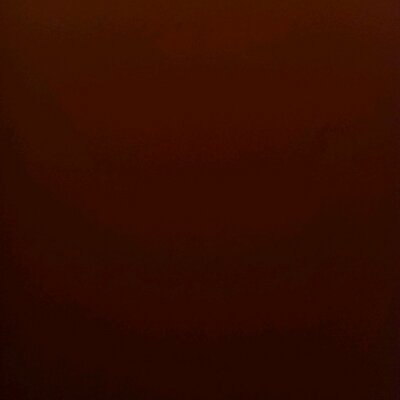 Profile Picture of Hollie Leonard (@LeonardHollie) on Twitter