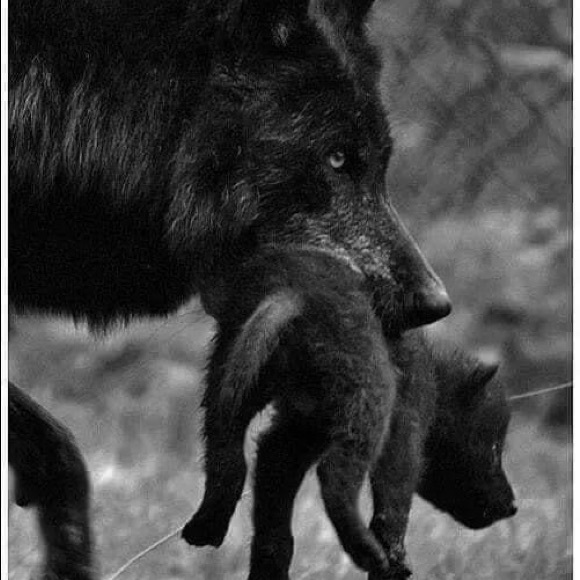 Profile Picture of Lisa Laverty (@lisa_laverty) on Poshmark