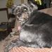 Profile Picture of Jean Goehring (@jean.goehring.9) on Facebook