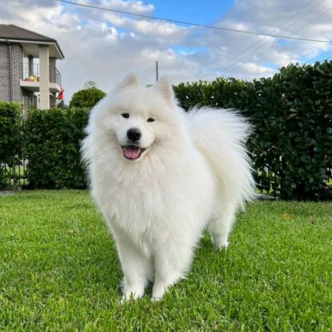 Profile Picture of Alexander Jefferson (@alexander0_43) on Tiktok