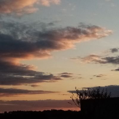 Profile Picture of Louise Daniel-Leger (@LouiseD38985582) on Twitter