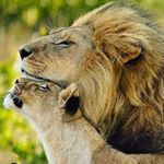 Profile Picture of tony rainer (@amazing_landscapes00) on Instagram