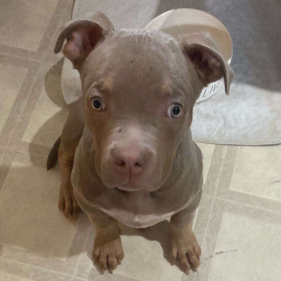 Profile Picture of Robert Glover (@rrglvr775) on Poshmark