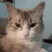 Profile Picture of Lorena Mendez (@lorena.mendez.1460) on Facebook