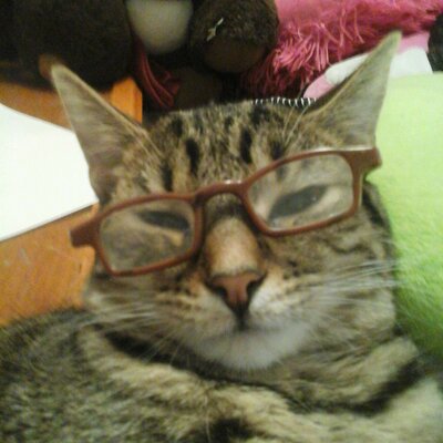 Profile Picture of Rosa Colonna (@1dfand4life) on Twitter