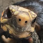 Profile Picture of Michael Hillier (@m_i_c_h_a_e_l____h) on Instagram