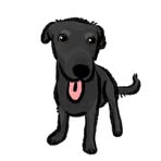 Profile Picture of Weijia Wang (@jadewang991122) on Facebook