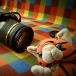 Profile Picture of Mark Aligeri (@m.aligeri) on Instagram