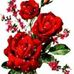 Profile Picture of Imtiaz Shah (@imtiaz.shah.1441) on Facebook