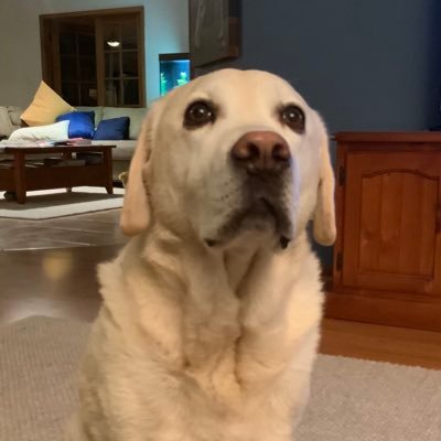 Profile Picture of Derek Nagle (@DerekNagle3) on Twitter