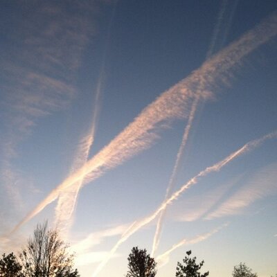 Profile Picture of Wayne Dedloff (@WayneDedloff) on Twitter