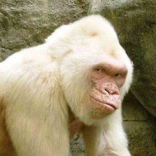 Profile Picture of Omar Rubio (@omarrubio_) on Instagram