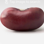 Profile Picture of THE MEAN BEAN (@THEMEANBEAN18) on Youtube