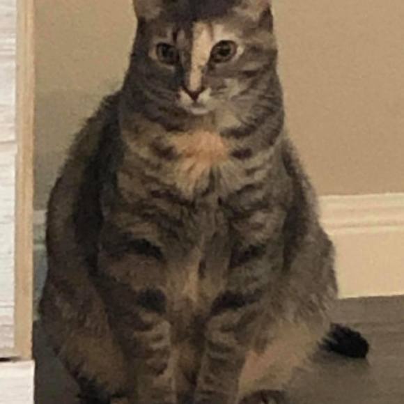 Profile Picture of Reggie n sherry Brasher (@rlbrasher71) on Poshmark