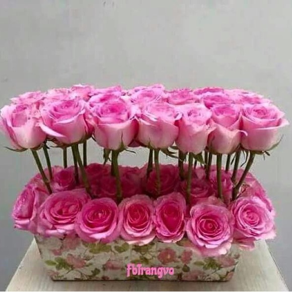 Profile Picture of Tello Lorena (@goodooyheydi) on Poshmark