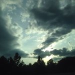 Profile Picture of Bryan Flora (@bflora16) on Instagram