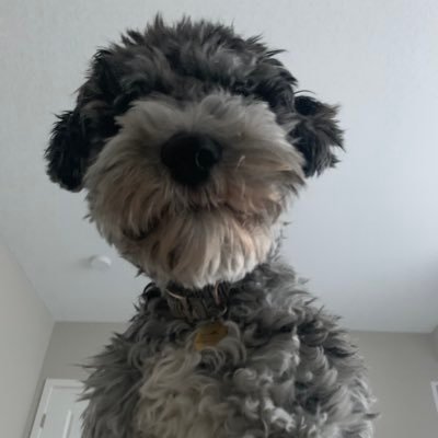 Mallory - Twitter Profile Picture of Mallory (@MalloryKateness) on Twitter