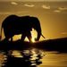 Profile Picture of Leopoldo Alvarez (@leopoldoalvarez) on Pinterest