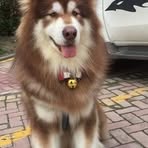 Profile Picture of Cheryl Diego (@Cheryl-Diego) on Facebook