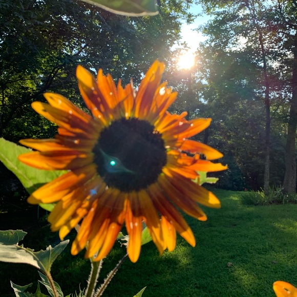 Profile Picture of Rëva Gallihugh (@r_gallihugh) on Poshmark