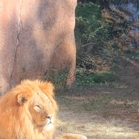 Profile Picture of Cali Cali (@jadawaymon27) on Poshmark