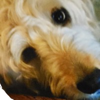 Profile Picture of Pamela Hicks (@pamela-hicks-67) on Quora