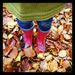 Profile Picture of Samantha (@laymon) on Pinterest