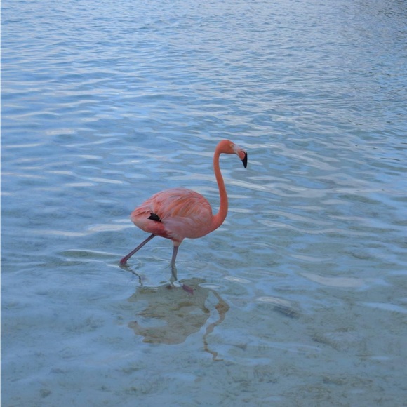 Profile Picture of Michele Brennan (@michelebrennan7) on Poshmark