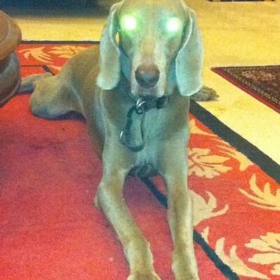 Andrew Crombie - Twitter Profile Picture of Andrew Crombie (@Crombology) on Twitter