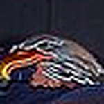 Profile Picture of Katina Andrews (@tinaandrews31) on Flickr