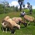 Profile Picture of Jonathan Kiprono Tuitoek (@jonathankiprono.tuitoek) on Facebook