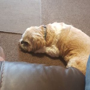 Profile Picture of Scott Trimble (@ScottTr52638542) on Twitter