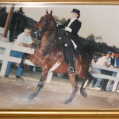 Profile Picture of Dawn Altman (@dawnaltman) on Tiktok