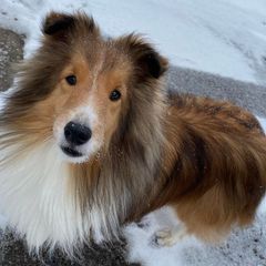 Profile Picture of suzannemajor155 (@suzannemajor155) on Tiktok