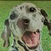 Profile Picture of Justin Huse (@justin.huse.9400) on Facebook