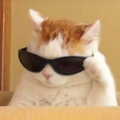 Profile Picture of Permyakova Zhenya (@permyakovazhenya3758) on Youtube