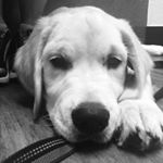 Profile Picture of Kate Heffernan (@heffernan_kate_) on Instagram