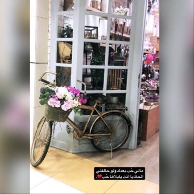 Profile Picture of Marim Awad (@marimAwad1) on Twitter