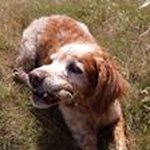 Profile Picture of Michael Quinney (@michael.quinney.311) on Instagram