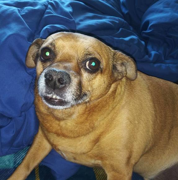 Profile Picture of Delpha Curran (@currandelpha3) on Poshmark