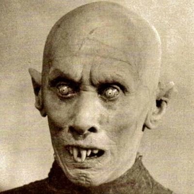 Profile Picture of Skebanga (@SeanODonoghue14) on Twitter