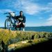 Profile Picture of Alexander Pickering (@aflorin) on Pinterest
