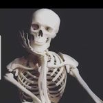 Profile Picture of Ralph Schwarz (@ralph.schwarz.315) on Instagram