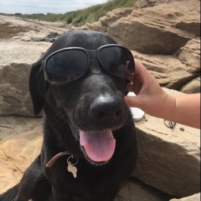 Profile Picture of Haley Laird (@HaleyLaird1) on Twitter