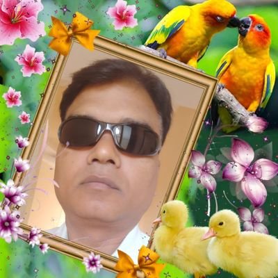 Profile Picture of @Dhananjay Gupta (@Dhananj55678495) on Twitter