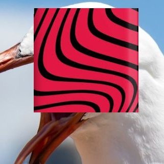 Profile Picture of Trebor (@troller0robert) on Twitter