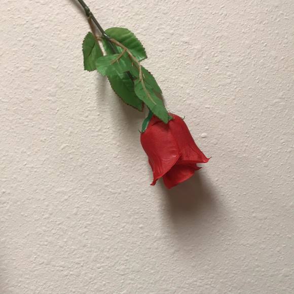 Profile Picture of Steve Nofsinger (@stevenofsinger) on Poshmark