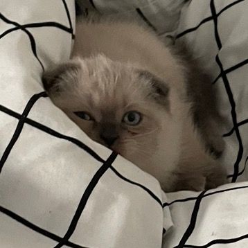 Profile Picture of Мартін (@martin.kit) on Tiktok